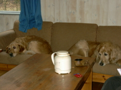 thm_2004forar 011.jpg